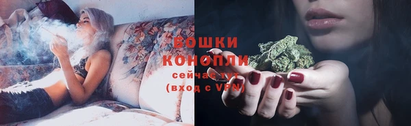 стафф Осинники