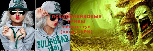 стафф Осинники