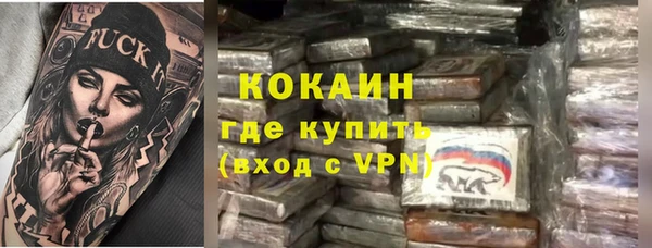 соль ск Няндома