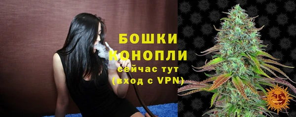 стафф Осинники