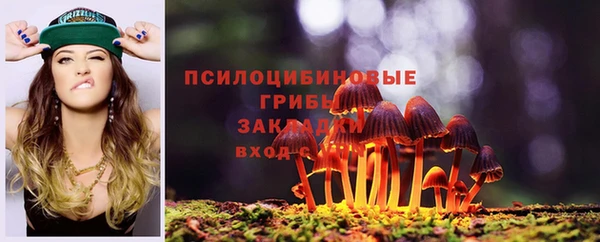 амф Остров