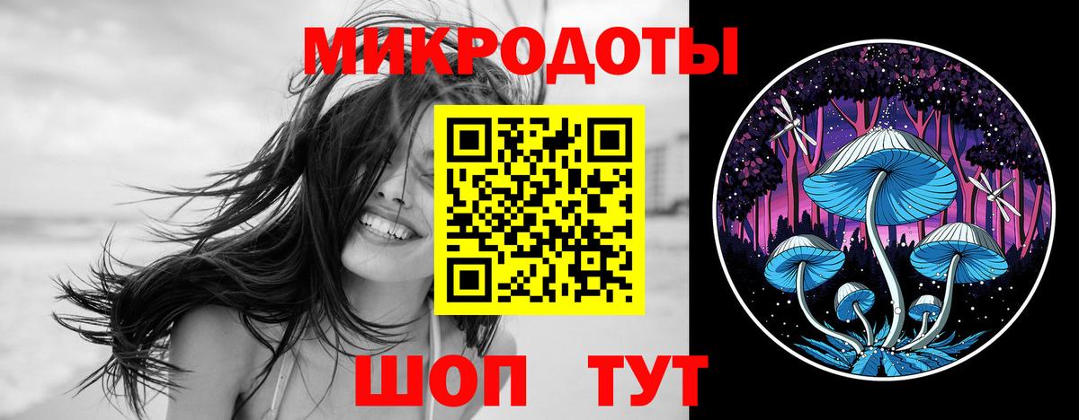 Псилоцибиновые грибы Psilocybe Зеленогорск