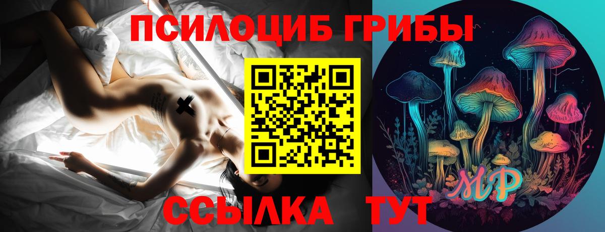 Зеленогорск  Псилоцибиновые грибы ЛСД  Галлюциногенные грибы Psilocybine cubensis  Вход с VPN 
