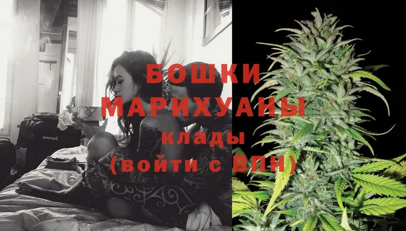 Конопля SATIVA & INDICA  OMG как войти  мориарти как зайти  купить наркоту  Зеленогорск 